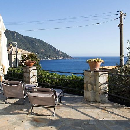 La Conchiglia Bed & Breakfast 卡莫利 外观 照片