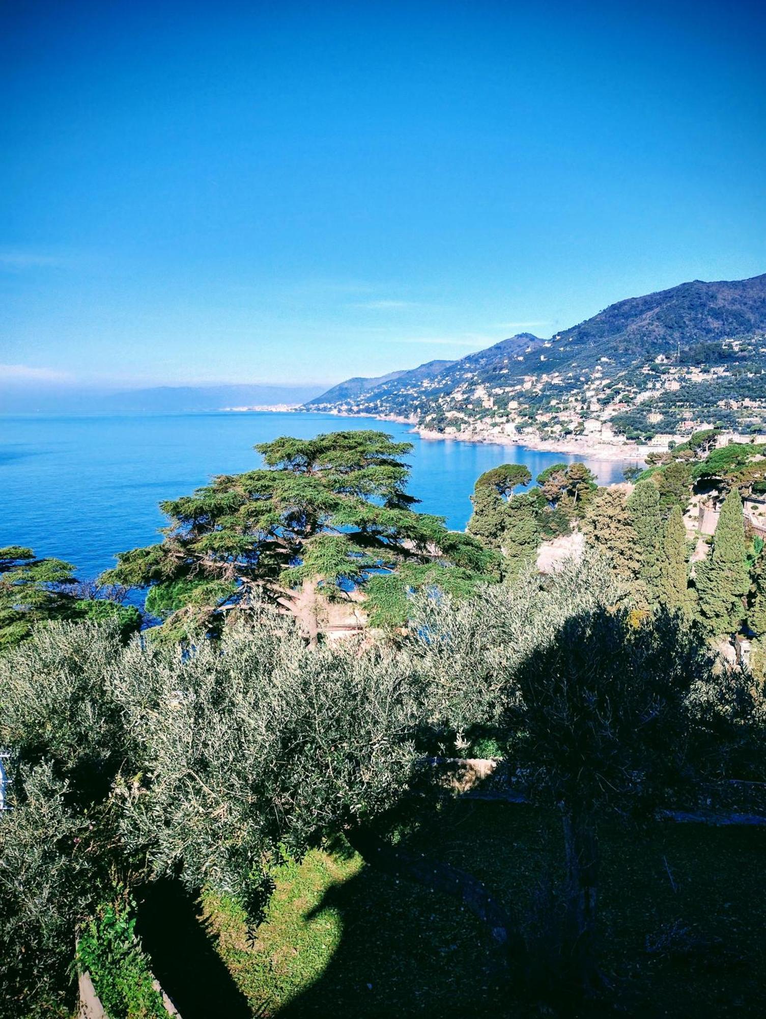La Conchiglia Bed & Breakfast 卡莫利 外观 照片