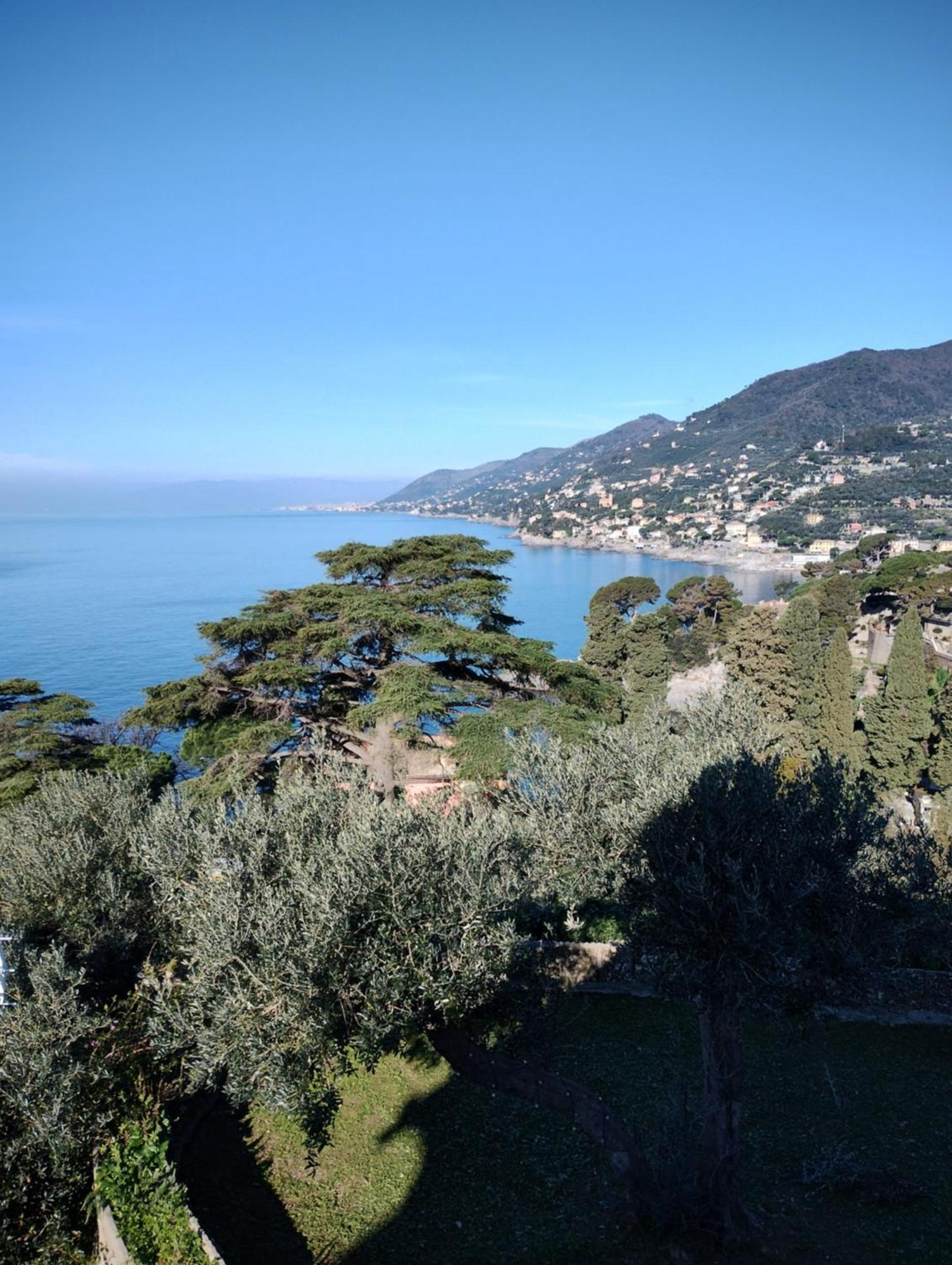 La Conchiglia Bed & Breakfast 卡莫利 外观 照片